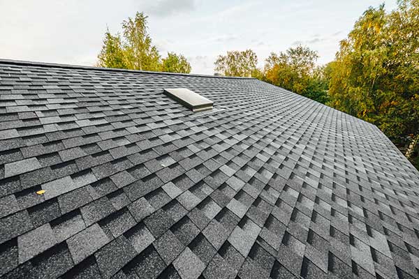 Skylight Repair Services