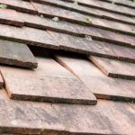 Gallery Bk The Real 1769624740 Jpg